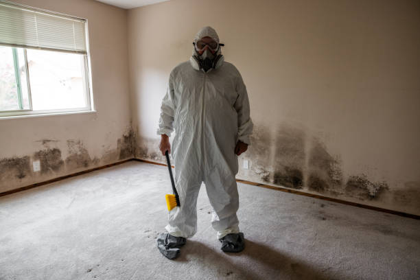 Mold Remediation for Vacation Homes in Seminole Manor, FL